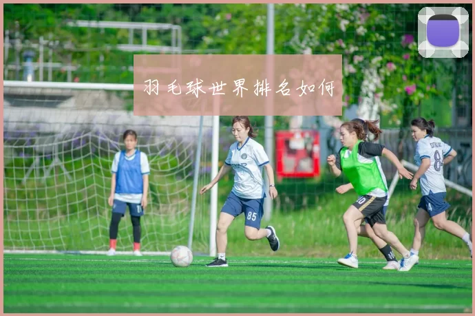 羽毛球世界排名如何